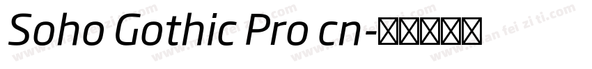 Soho Gothic Pro cn字体转换